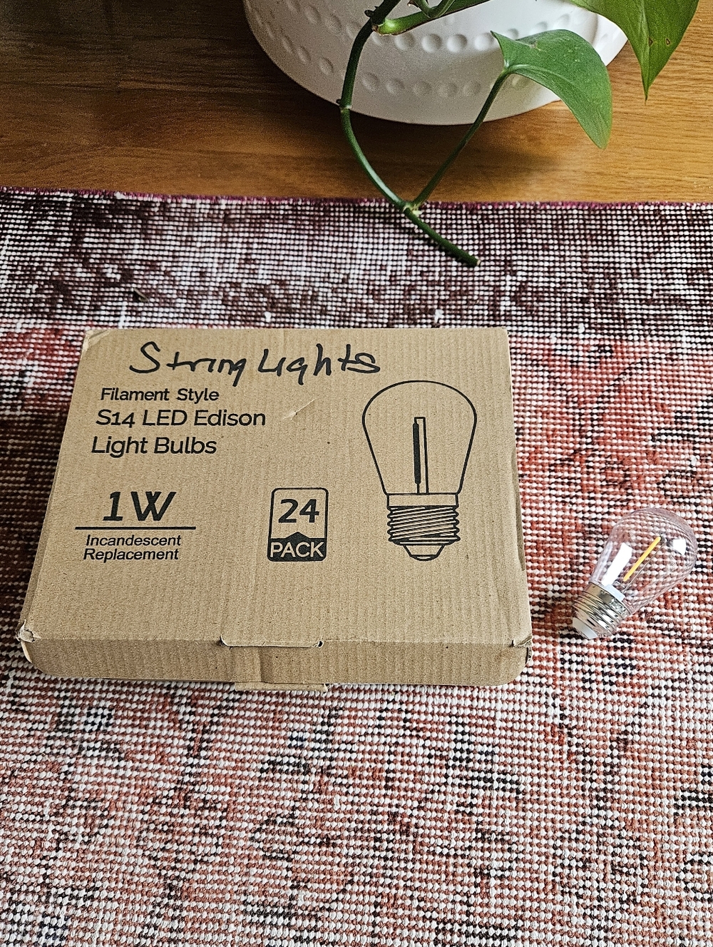 NWT 24 String Light Bulbs